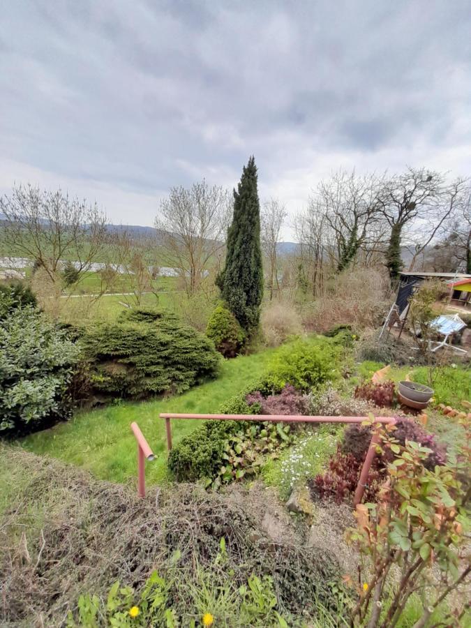 Why Not Strandblick Apartamento Polle Exterior foto