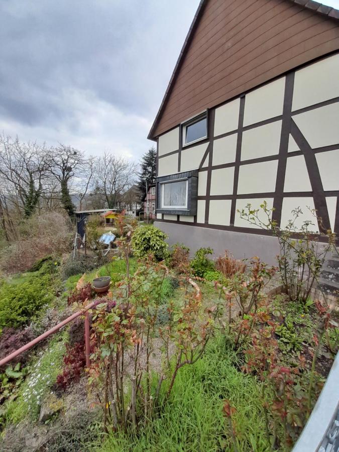 Why Not Strandblick Apartamento Polle Exterior foto